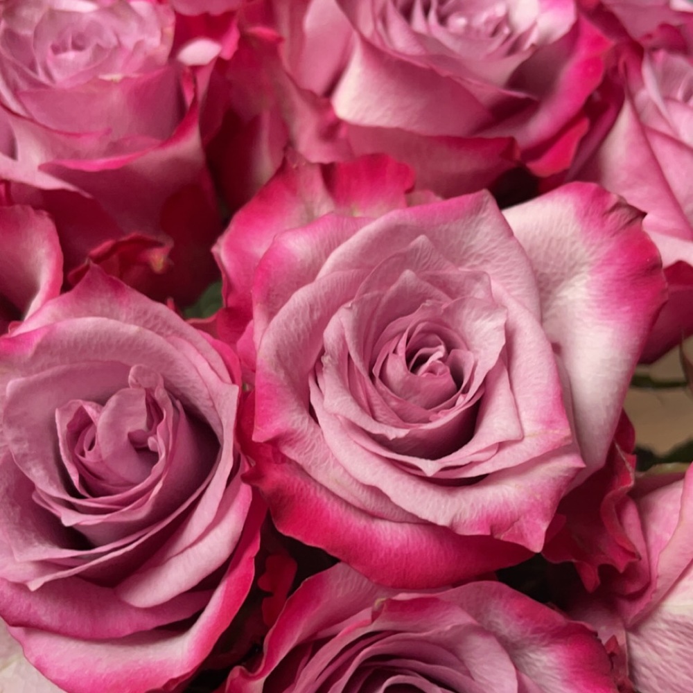 Meet your Posher, Ekaterina